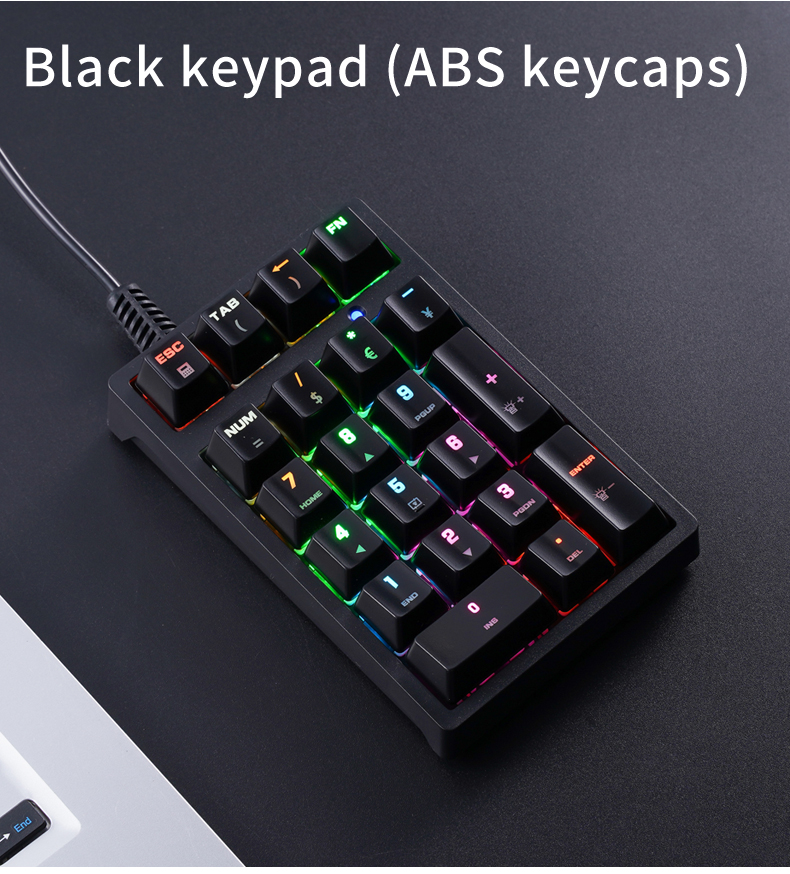 T21 Mini Number Keypad RGB Bac - đánh giá và giá Keyboard Numpad Separate