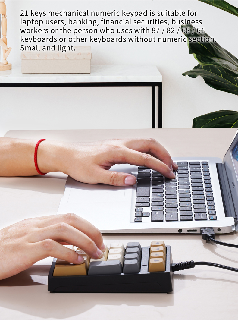 T21 Mini Number Keypad RGB Bac - đánh giá và giá Keyboard Numpad Separate