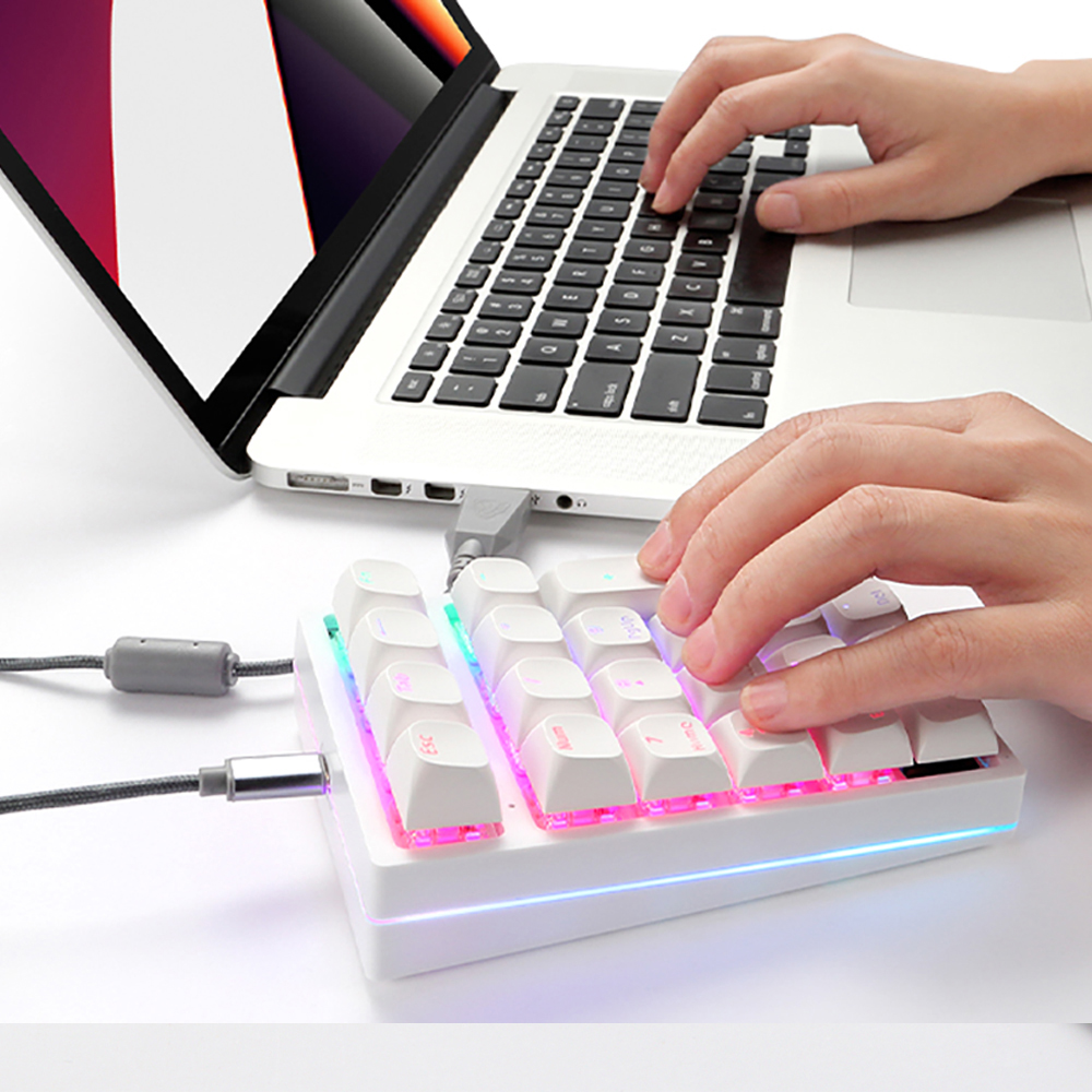 K24Pro 21Keys Number Pad Mecha - đánh giá và giá Keyboard Numpad Separate