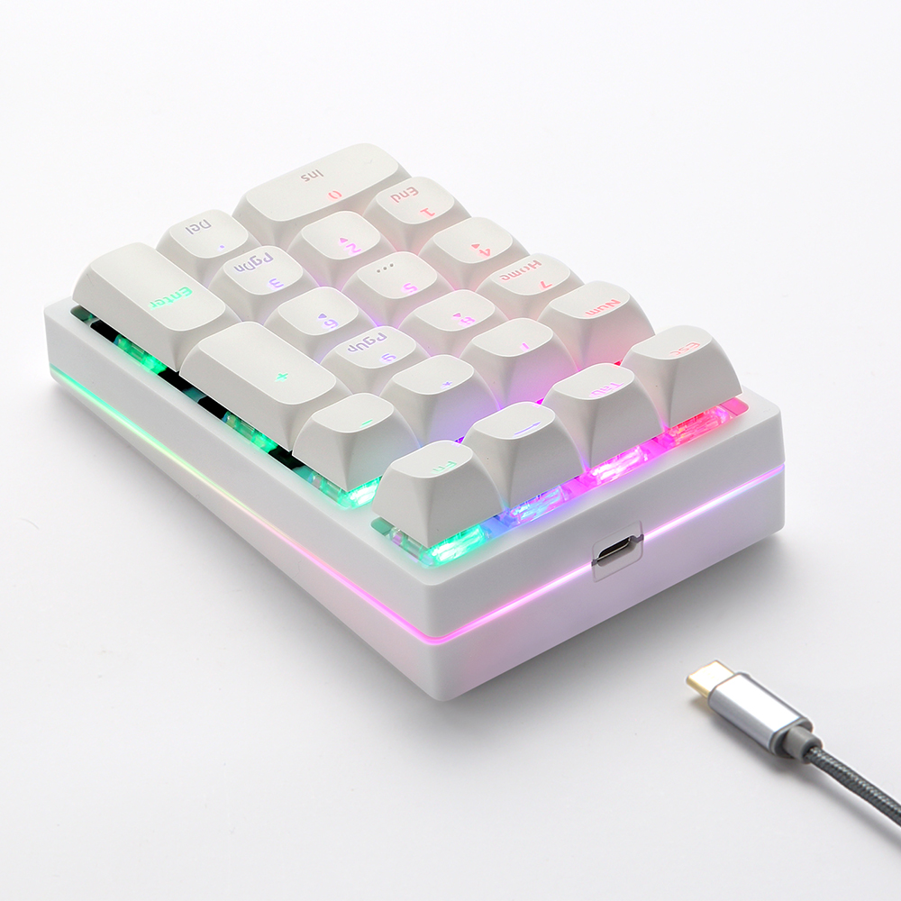 K24Pro 21Keys Number Pad Mecha - đánh giá và giá Keyboard Numpad Separate